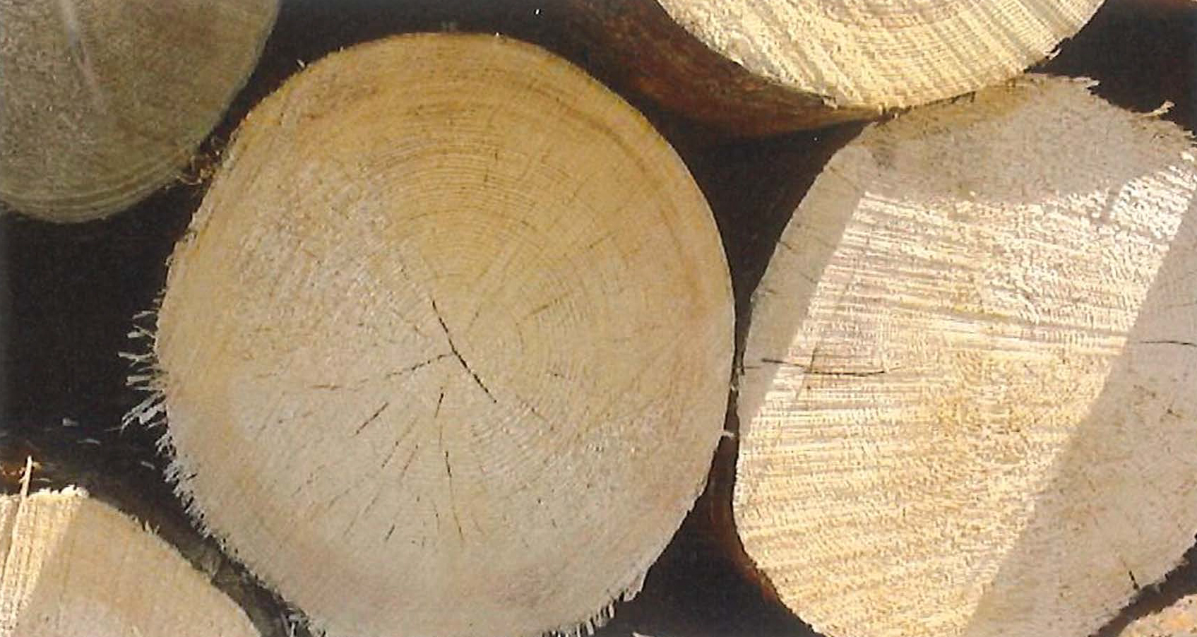 Archivbild © Nöstler