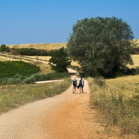 Auf der Walz